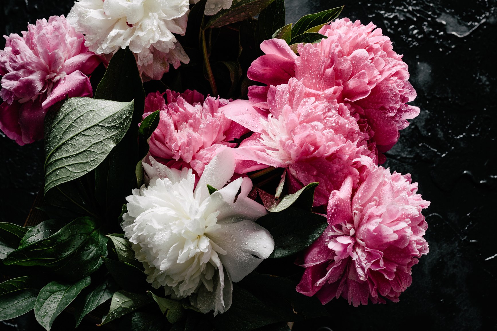 peonies